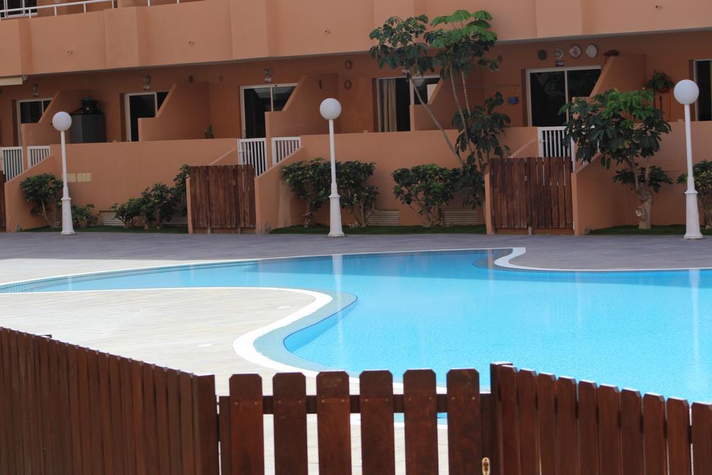Medano Loft Daire El Médano Dış mekan fotoğraf